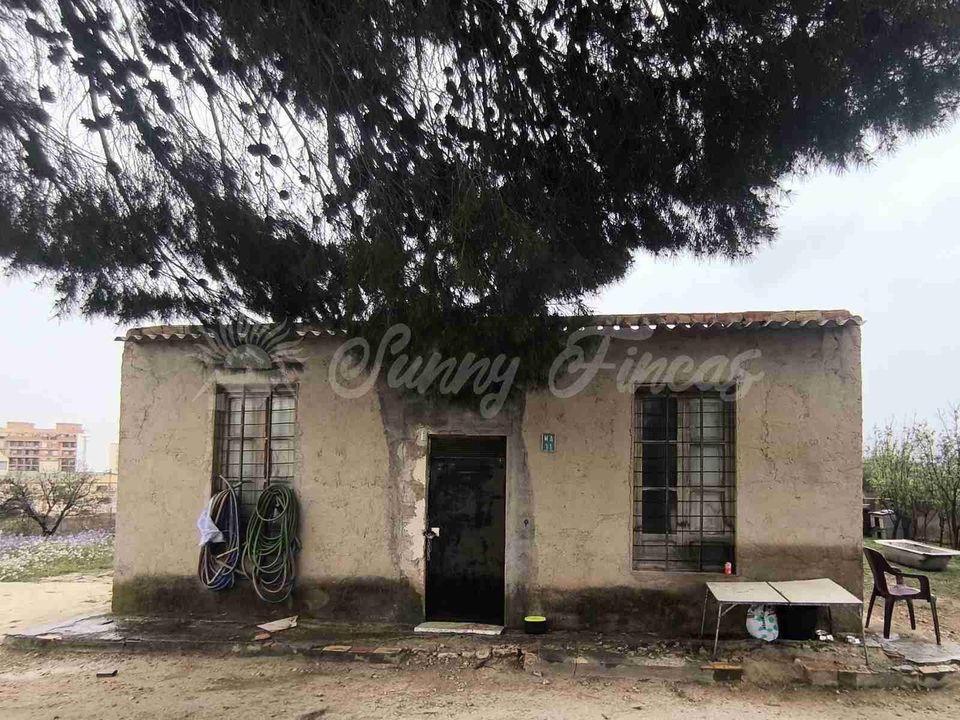 Landejendom i Monovar, Alicante - foto 3